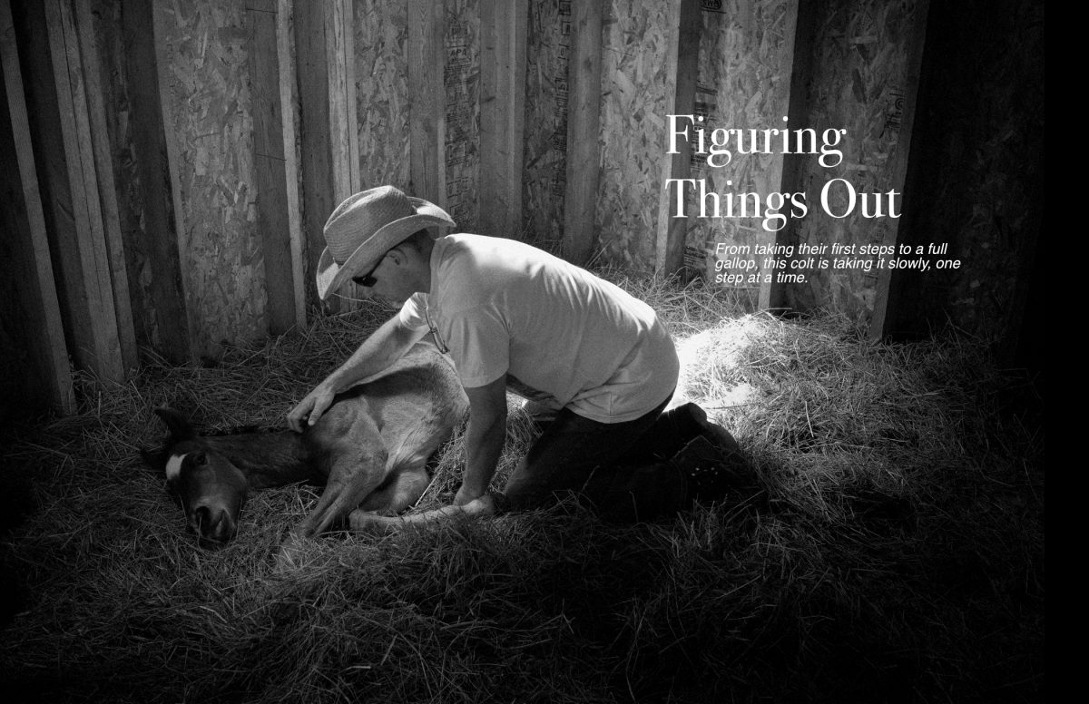 Figuring things out